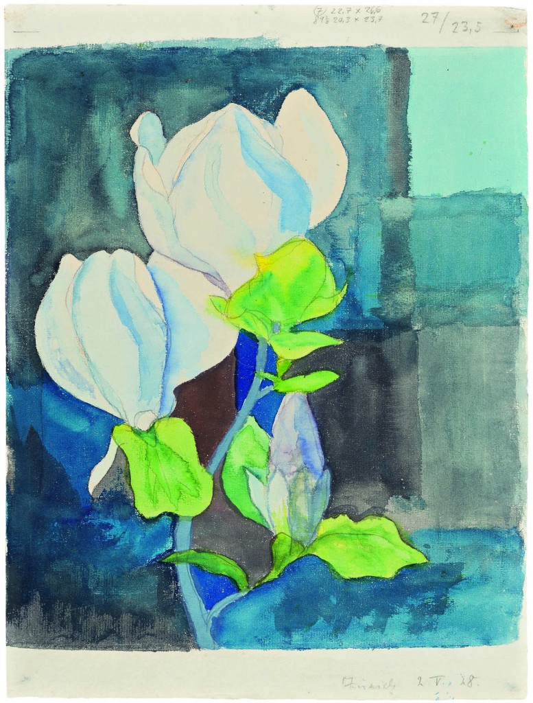 Magnolie, 2. Mai 1928 Grafit und Aquarell 270 x 235 mm Fondazione Hermann Hesse Montagnola, Depositum Privatsammlung 